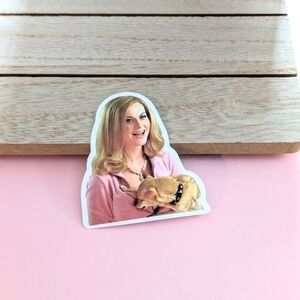 5 for $10 or 12 for $20 Mean Girls Stickers